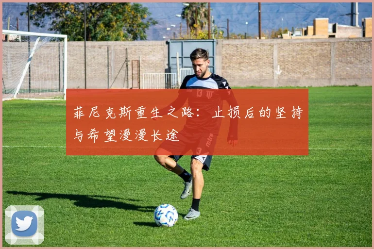 菲尼克斯重生之路：止损后的坚持与希望漫漫长途