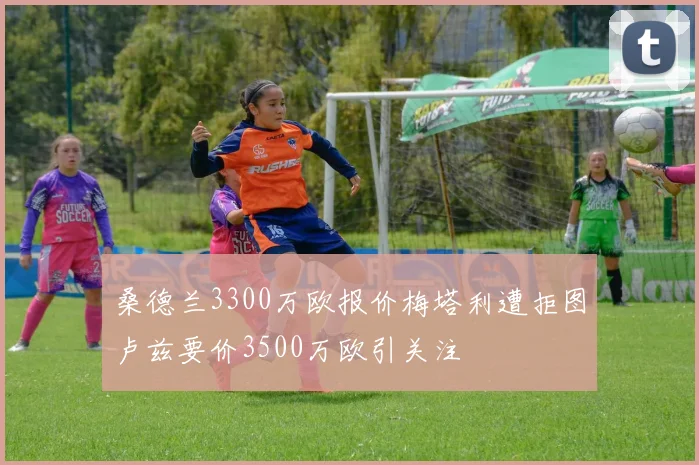 桑德兰3300万欧报价梅塔利遭拒图卢兹要价3500万欧引关注