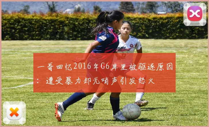 一哥回忆2016年G6库里被驱逐原因：遭受暴力却无哨声引发怒火
